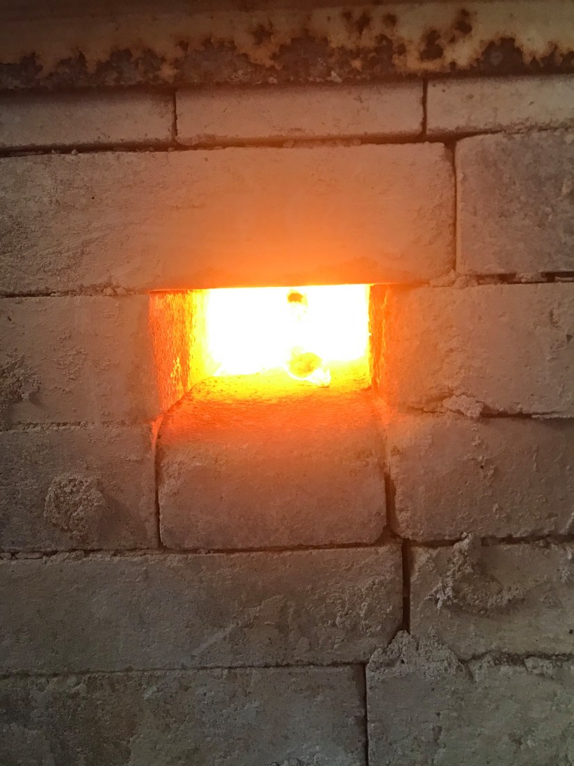 75242174_393498914890033_161928298648043520_o